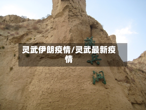 灵武伊朗疫情/灵武最新疫情