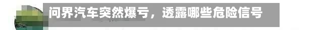 问界汽车突然爆亏	，透露哪些危险信号？-第2张图片