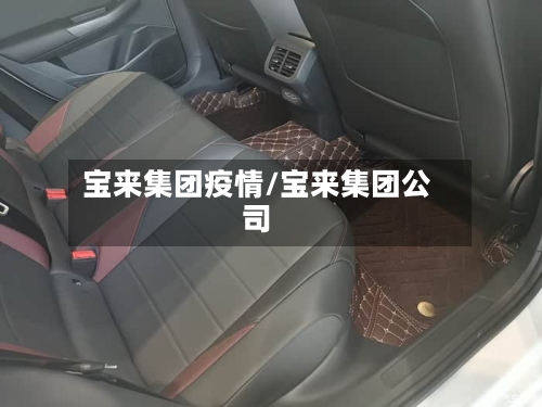 宝来集团疫情/宝来集团公司-第2张图片