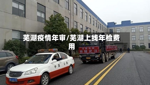 芜湖疫情年审/芜湖上线年检费用-第3张图片