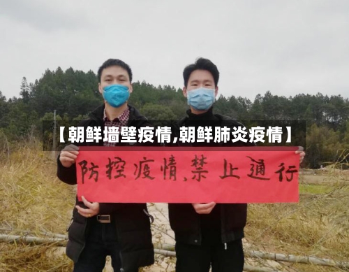 【朝鲜墙壁疫情,朝鲜肺炎疫情】-第2张图片