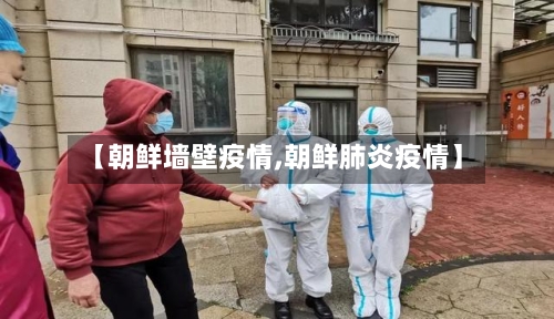 【朝鲜墙壁疫情,朝鲜肺炎疫情】-第3张图片