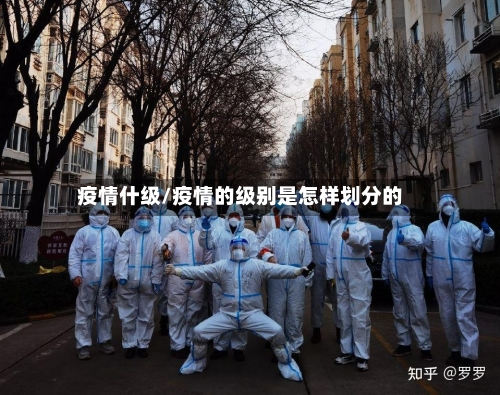 疫情什级/疫情的级别是怎样划分的