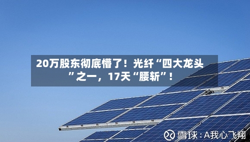 20万股东彻底懵了！光纤“四大龙头”之一，17天“腰斩	”！-第3张图片