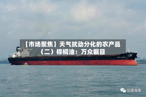 【市场聚焦】天气扰动分化的农产品(二)棕榈油:万众瞩目-第3张图片