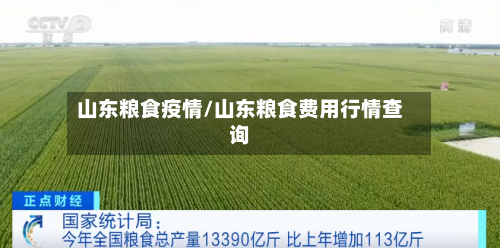 山东粮食疫情/山东粮食费用行情查询-第2张图片