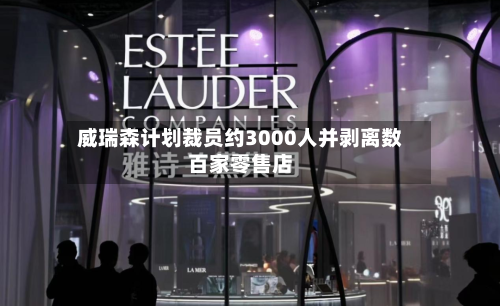 威瑞森计划裁员约3000人并剥离数百家零售店-第3张图片