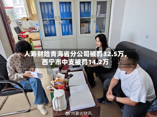 人寿财险青海省分公司被罚32.5万	，西宁市中支被罚14.2万-第2张图片