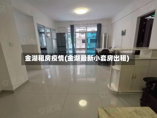 金湖租房疫情(金湖最新小套房出租)