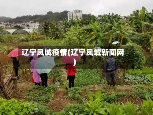 辽宁凤城疫情(辽宁凤城新闻网)-第2张图片