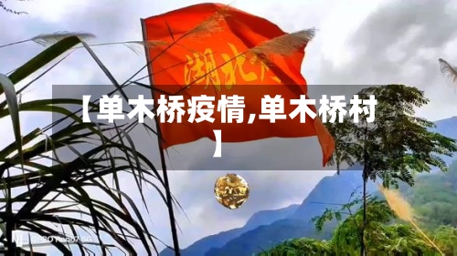【单木桥疫情,单木桥村】-第2张图片