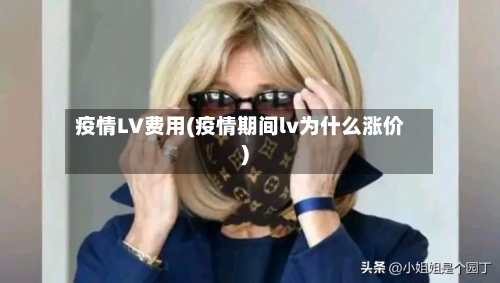 疫情LV费用(疫情期间lv为什么涨价)