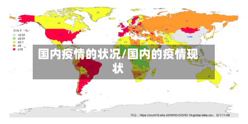 国内疫情的状况/国内的疫情现状