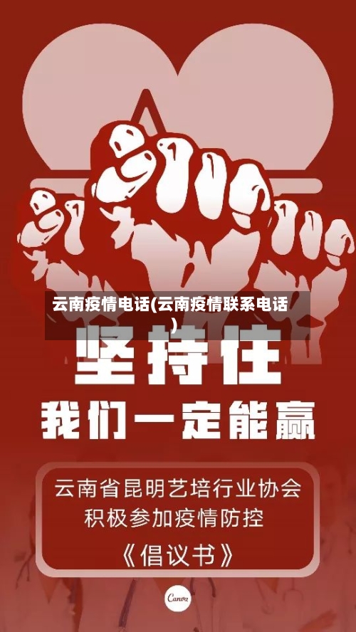 云南疫情电话(云南疫情联系电话)-第3张图片