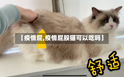 【疫情屁,疫情屁股猫可以吃吗】