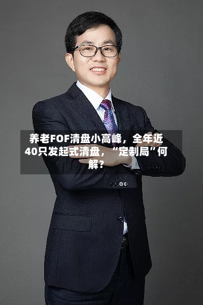 养老FOF清盘小高峰	，全年近40只发起式清盘，“定制局”何解？-第2张图片