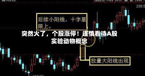 突然火了，个股涨停！谨慎看待A股实验动物概念-第2张图片
