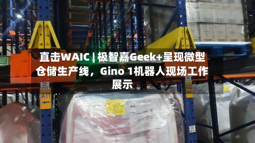 直击WAIC | 极智嘉Geek+呈现微型仓储生产线，Gino 1机器人现场工作展示-第3张图片