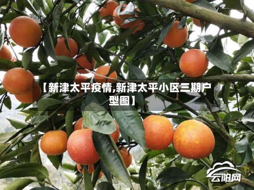 【新津太平疫情,新津太平小区三期户型图】