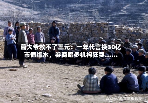 葛大爷救不了三元：一年代言换30亿市值缩水	，券商唱多机构狂卖……-第3张图片