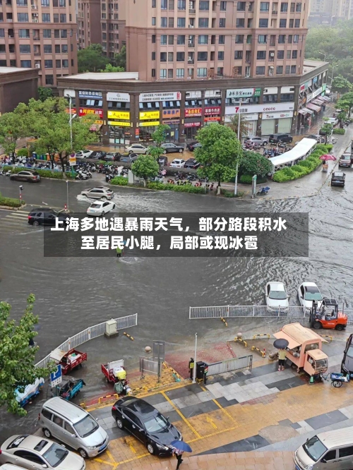 上海多地遇暴雨天气	，部分路段积水至居民小腿，局部或现冰雹-第3张图片