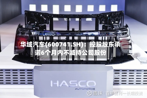 华域汽车(600741.SH)：控股股东承诺6个月内不减持公司股份-第2张图片