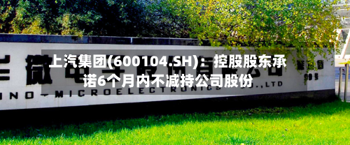 上汽集团(600104.SH):控股股东承诺6个月内不减持公司股份-第3张图片