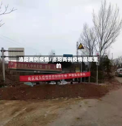 洛阳两例疫情/洛阳两例疫情是哪里的-第2张图片