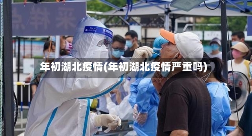 年初湖北疫情(年初湖北疫情严重吗)-第2张图片