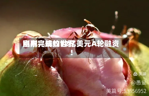 刚刚，蚂蚁世界宣布完成约12亿美元A轮融资！-第2张图片