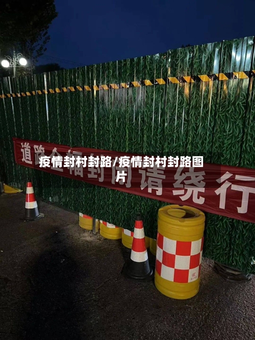 疫情封村封路/疫情封村封路图片-第2张图片