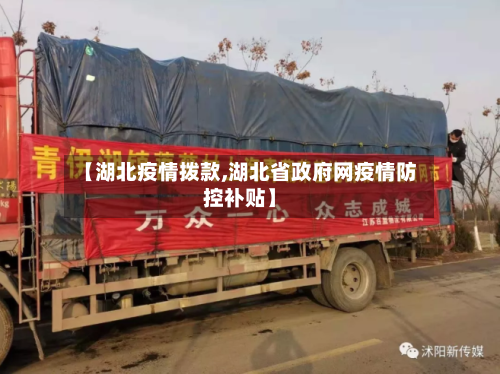 【湖北疫情拨款,湖北省政府网疫情防控补贴】-第3张图片