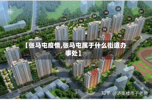 【张马屯疫情,张马屯属于什么街道办事处】