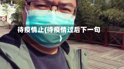 待疫情止(待疫情过后下一句)