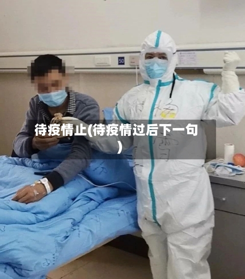 待疫情止(待疫情过后下一句)-第2张图片