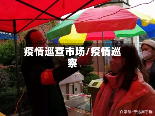 疫情巡查市场/疫情巡察-第2张图片