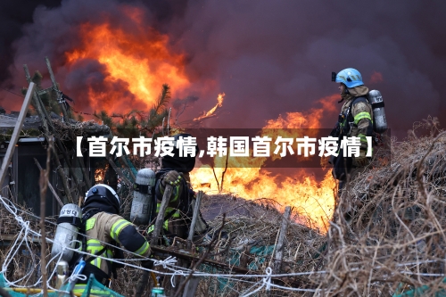 【首尔市疫情,韩国首尔市疫情】