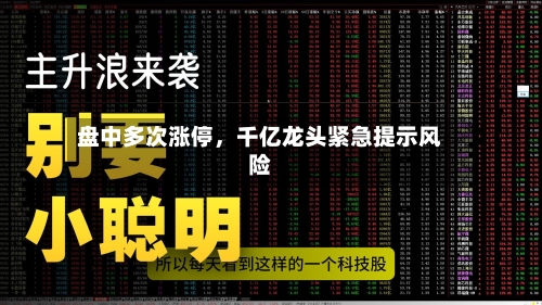 盘中多次涨停	，千亿龙头紧急提示风险-第3张图片