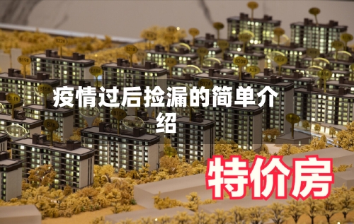 疫情过后捡漏的简单介绍