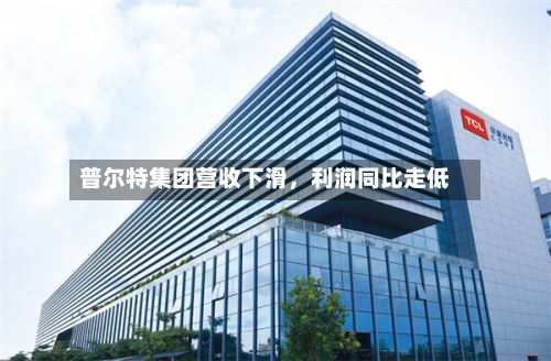 普尔特集团营收下滑，利润同比走低-第2张图片