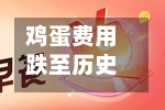 鸡蛋费用跌至历史低位，卡尔梅因食品营收大幅下滑-第3张图片