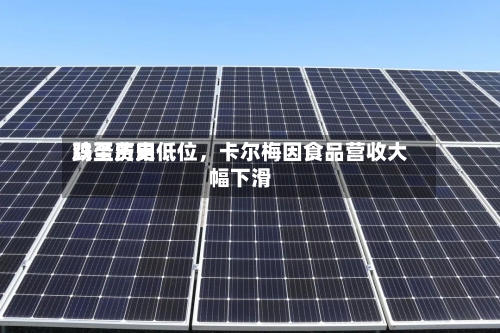 鸡蛋费用跌至历史低位，卡尔梅因食品营收大幅下滑-第2张图片