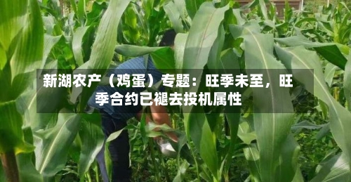 新湖农产（鸡蛋）专题：旺季未至，旺季合约已褪去投机属性-第2张图片