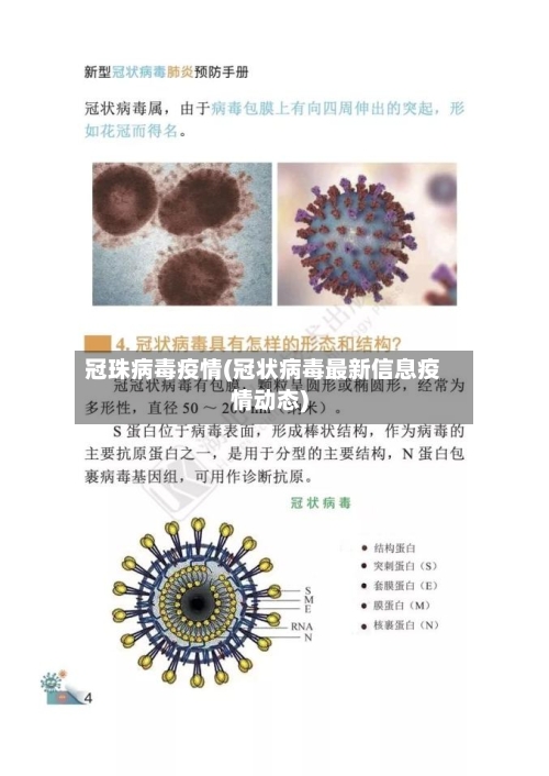 冠珠病毒疫情(冠状病毒最新信息疫情动态)