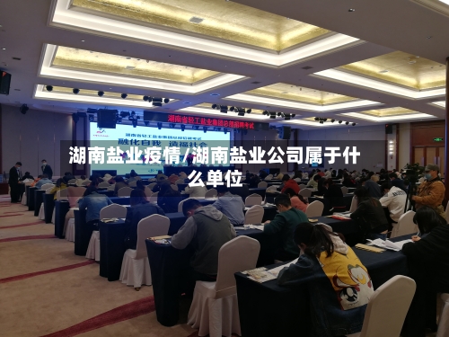 湖南盐业疫情/湖南盐业公司属于什么单位-第2张图片
