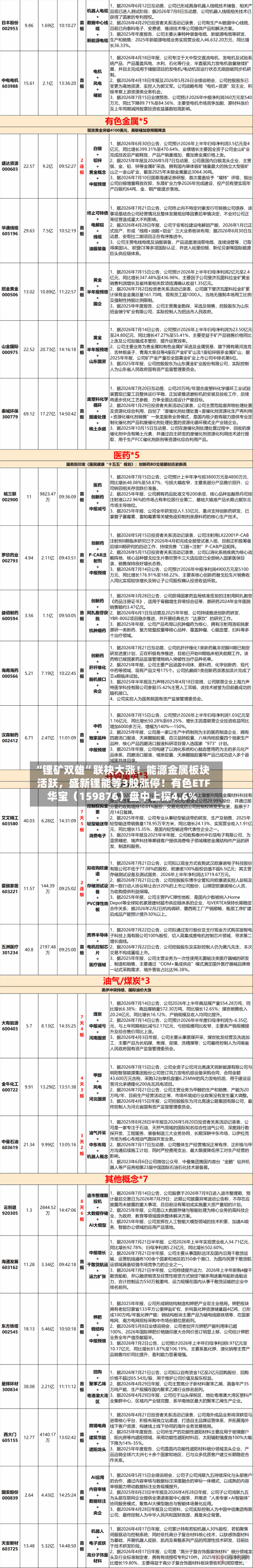 “锂矿双雄	”联袂大涨！能源金属板块活跃，盛新锂能等3股涨停！有色ETF华宝（159876）盘中上探4.6%-第3张图片