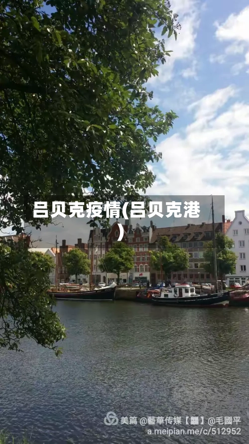 吕贝克疫情(吕贝克港)-第2张图片