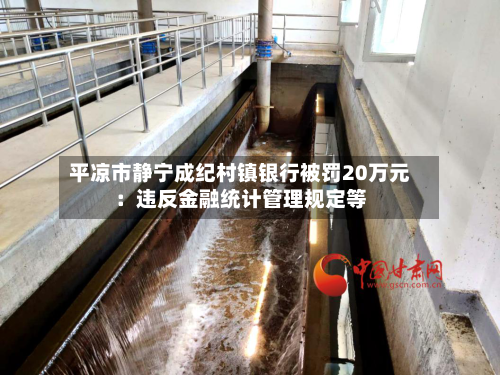 平凉市静宁成纪村镇银行被罚20万元：违反金融统计管理规定等