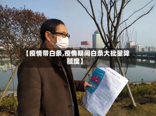 【疫情带白条,疫情期间白条大批量降额度】-第3张图片