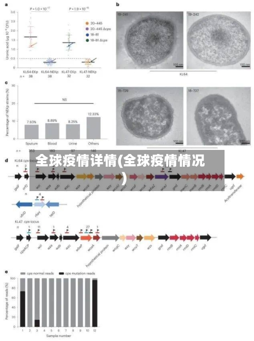 全球疫情详情(全球疫情情况)